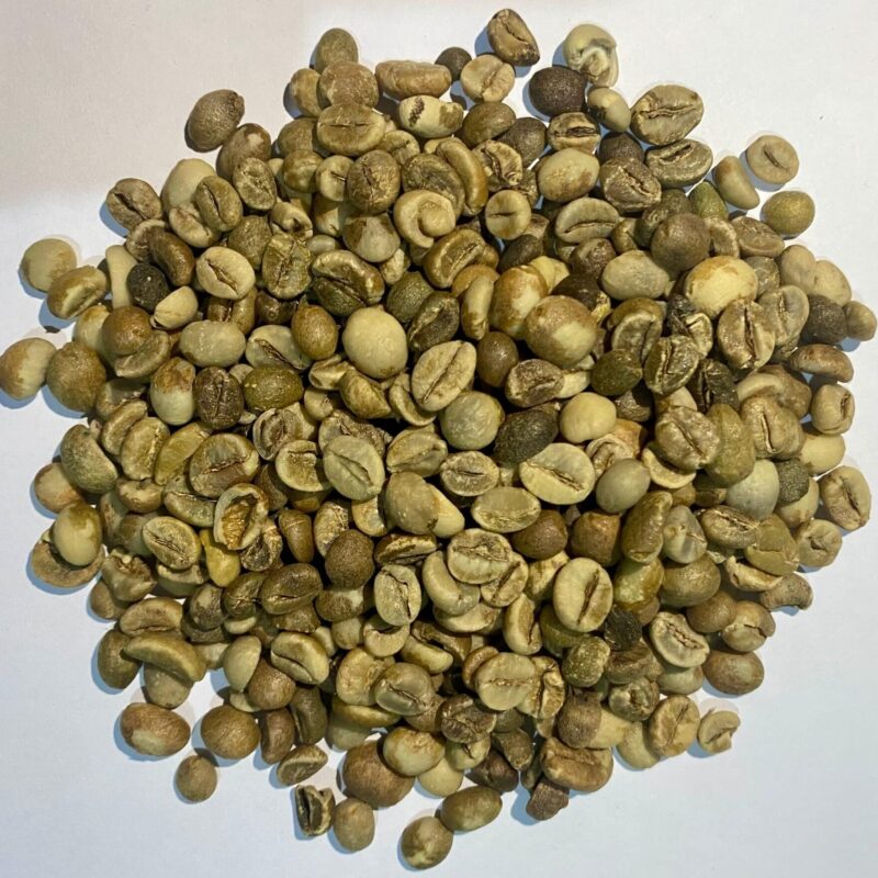 sample G3