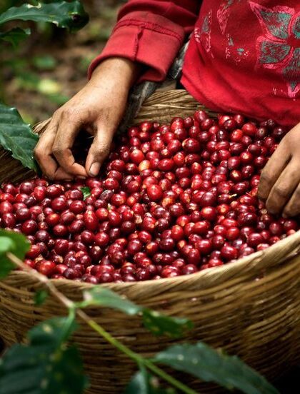 a splash of red